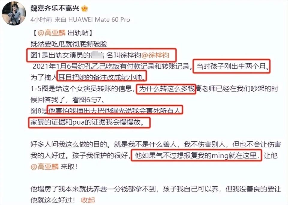 家有儿女演员高亚麟被指家暴出轨，舆论哗然，真相待解！